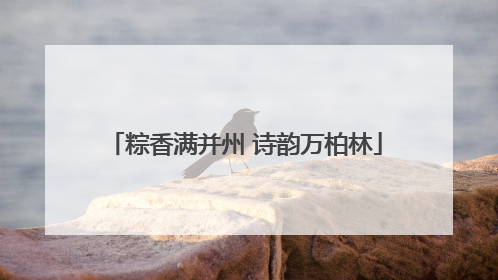 粽香满并州 诗韵万柏林
