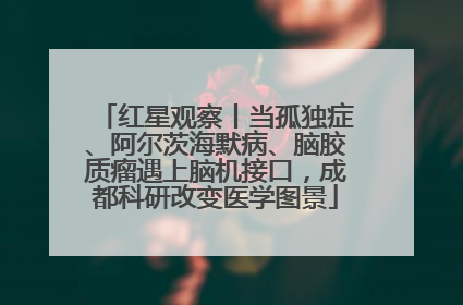 红星观察丨当孤独症、阿尔茨海默病、脑胶质瘤遇上脑机接口，成都科研改变医学图景