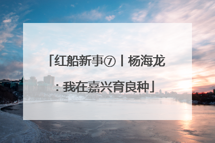 红船新事⑦丨杨海龙：我在嘉兴育良种