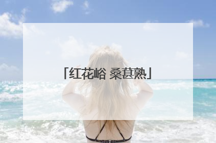 红花峪 桑葚熟