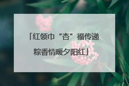 红领巾“杏”福传递 粽香情暖夕阳红