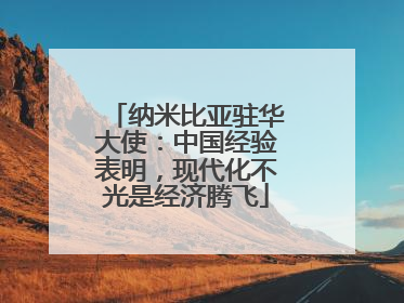 纳米比亚驻华大使：中国经验表明，现代化不光是经济腾飞