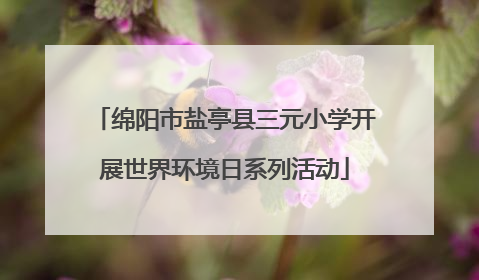 绵阳市盐亭县三元小学开展世界环境日系列活动