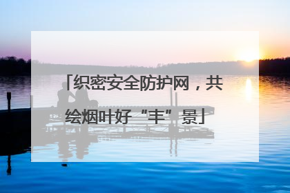 织密安全防护网，共绘烟叶好“丰”景