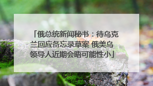 俄总统新闻秘书：待乌克兰回应备忘录草案 俄美乌领导人近期会晤可能性小