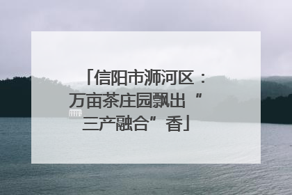 信阳市浉河区：万亩茶庄园飘出“三产融合”香