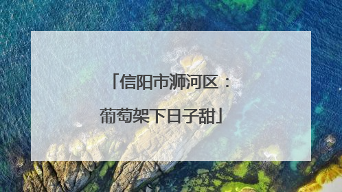 信阳市浉河区：葡萄架下日子甜