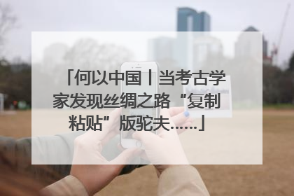何以中国丨当考古学家发现丝绸之路“复制粘贴”版驼夫……