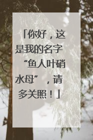 你好，这是我的名字“鱼人叶硝水母”，请多关照！