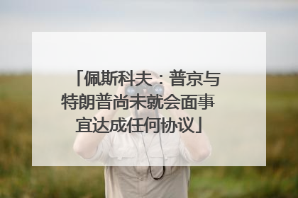 佩斯科夫：普京与特朗普尚未就会面事宜达成任何协议