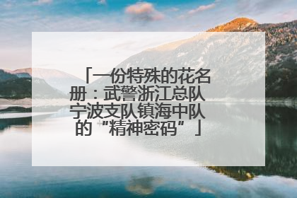 一份特殊的花名册：武警浙江总队宁波支队镇海中队的“精神密码”