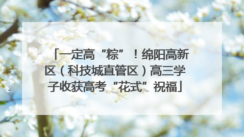 一定高“粽”！绵阳高新区（科技城直管区）高三学子收获高考“花式”祝福