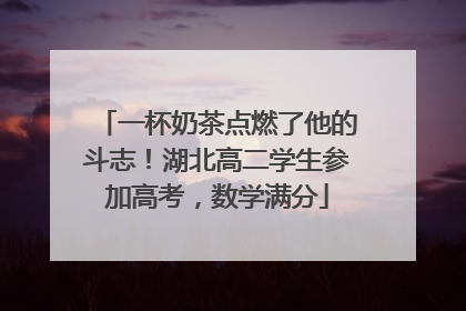 一杯奶茶点燃了他的斗志！湖北高二学生参加高考，数学满分