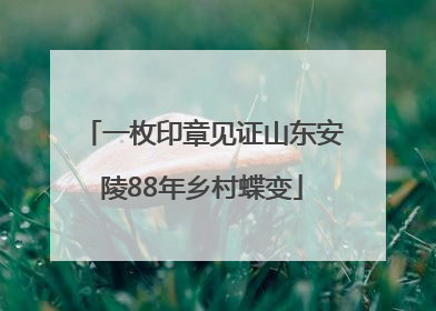 一枚印章见证山东安陵88年乡村蝶变