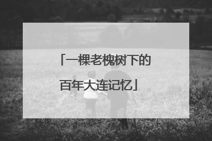 一棵老槐树下的百年大连记忆