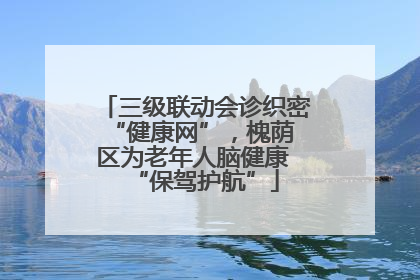 三级联动会诊织密 “健康网”，槐荫区为老年人脑健康 “保驾护航”