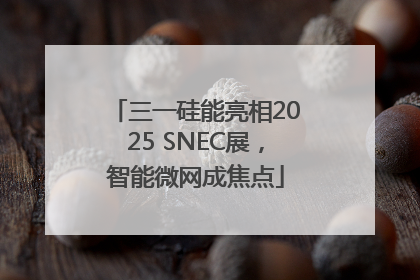三一硅能亮相2025 SNEC展，智能微网成焦点