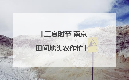 三夏时节 南京田间地头农作忙