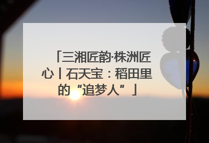 三湘匠韵·株洲匠心丨石天宝：稻田里的“追梦人”