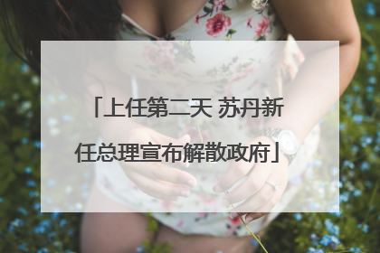 上任第二天 苏丹新任总理宣布解散政府