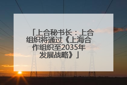 上合秘书长：上合组织将通过《上海合作组织至2035年发展战略》