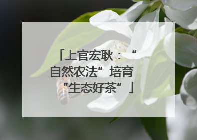 上官宏耿：“自然农法”培育“生态好茶”