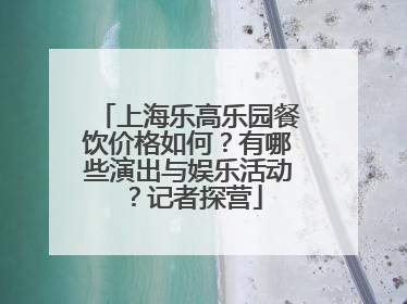 上海乐高乐园餐饮价格如何？有哪些演出与娱乐活动？记者探营