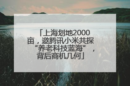 上海划地2000亩，邀腾讯小米共探“养老科技蓝海”，背后商机几何