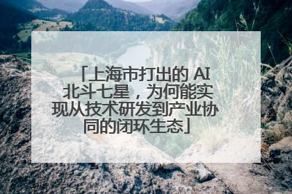 上海市打出的 AI 北斗七星，为何能实现从技术研发到产业协同的闭环生态