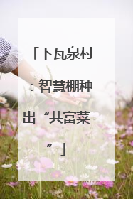 下瓦泉村：智慧棚种出“共富菜”