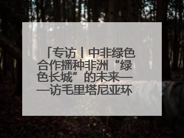 专访丨中非绿色合作播种非洲“绿色长城”的未来——访毛里塔尼亚环境部长拉格达夫