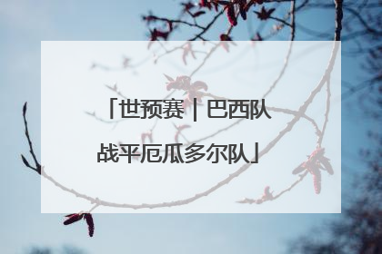 世预赛｜巴西队战平厄瓜多尔队