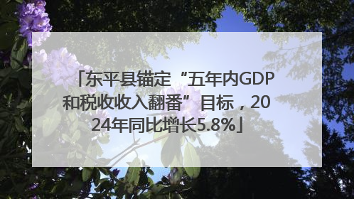 东平县锚定“五年内GDP和税收收入翻番”目标，2024年同比增长5.8%