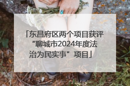 东昌府区两个项目获评“聊城市2024年度法治为民实事”项目