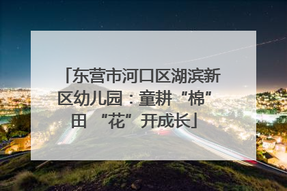 东营市河口区湖滨新区幼儿园：童耕“棉”田 “花”开成长