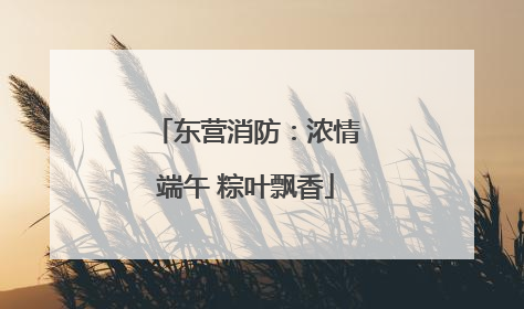 东营消防：浓情端午 粽叶飘香