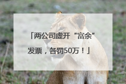 两公司虚开“富余”发票，各罚50万！