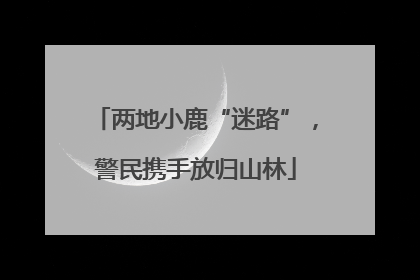 两地小鹿“迷路”，警民携手放归山林