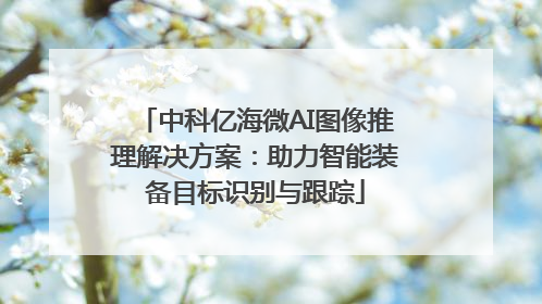 中科亿海微AI图像推理解决方案：助力智能装备目标识别与跟踪
