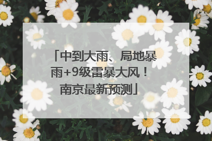 中到大雨、局地暴雨+9级雷暴大风！南京最新预测