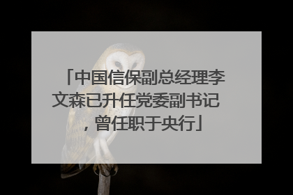 中国信保副总经理李文森已升任党委副书记，曾任职于央行