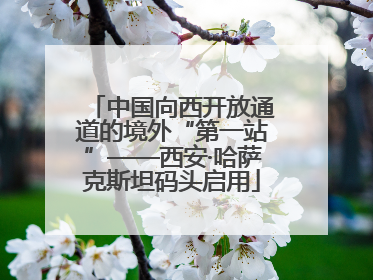 中国向西开放通道的境外“第一站”——西安·哈萨克斯坦码头启用