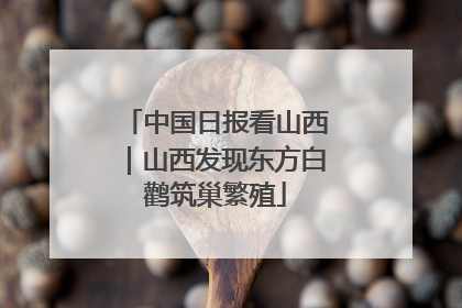 中国日报看山西｜山西发现东方白鹳筑巢繁殖