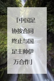 中国足协按合同终止与国足主帅伊万合作
