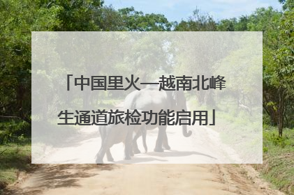 中国里火—越南北峰生通道旅检功能启用