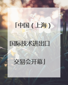 中国（上海）国际技术进出口交易会开幕