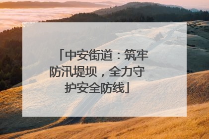 中安街道：筑牢防汛堤坝，全力守护安全防线