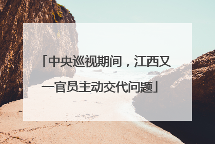 中央巡视期间，江西又一官员主动交代问题