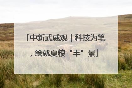 中新武威观｜科技为笔，绘就夏粮“丰”景