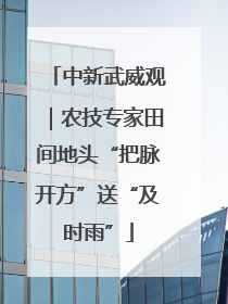 中新武威观｜农技专家田间地头“把脉开方”送“及时雨”
